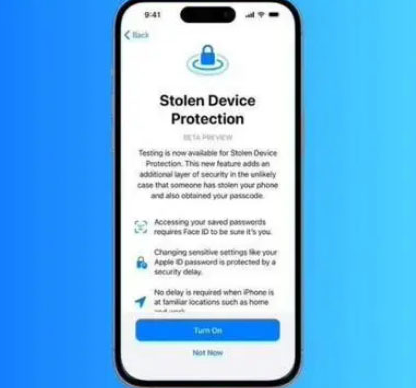 崇阳苹果授权维修店分享被盗设备保护功能开启方法 