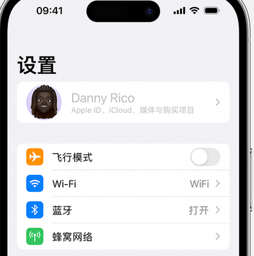 崇阳appleID维修服务iPhone设置中Apple ID显示为灰色无法使用 