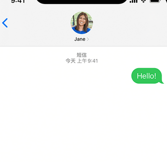 崇阳apple维修iPhone上无法正常发送iMessage信息