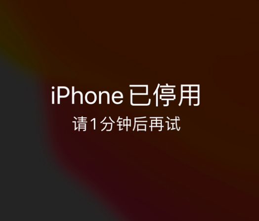 崇阳苹果手机维修分享:iPhone 显示“不可用”或“已停用”怎么办？还能保留数据吗？ 