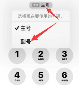 崇阳苹果14维修店分享iPhone 14 Pro Max使用副卡打电话的方法 