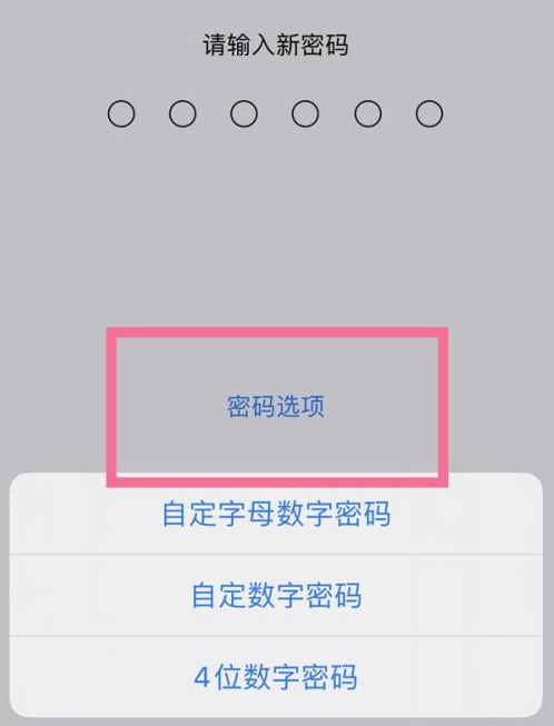 崇阳苹果14维修分享iPhone 14plus设置密码的方法 