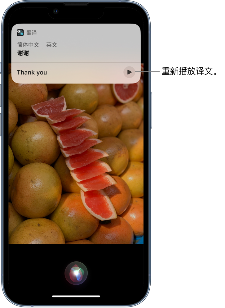 崇阳苹果14维修分享 iPhone 14 机型中使用 Siri：了解 Siri 能帮你做什么 