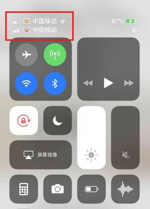 崇阳苹果手机维修分享为 iPhone 12 双卡设置标签 