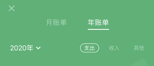 崇阳苹果手机维修分享如何在 iPhone 上查看支付宝和微信年支出账单 